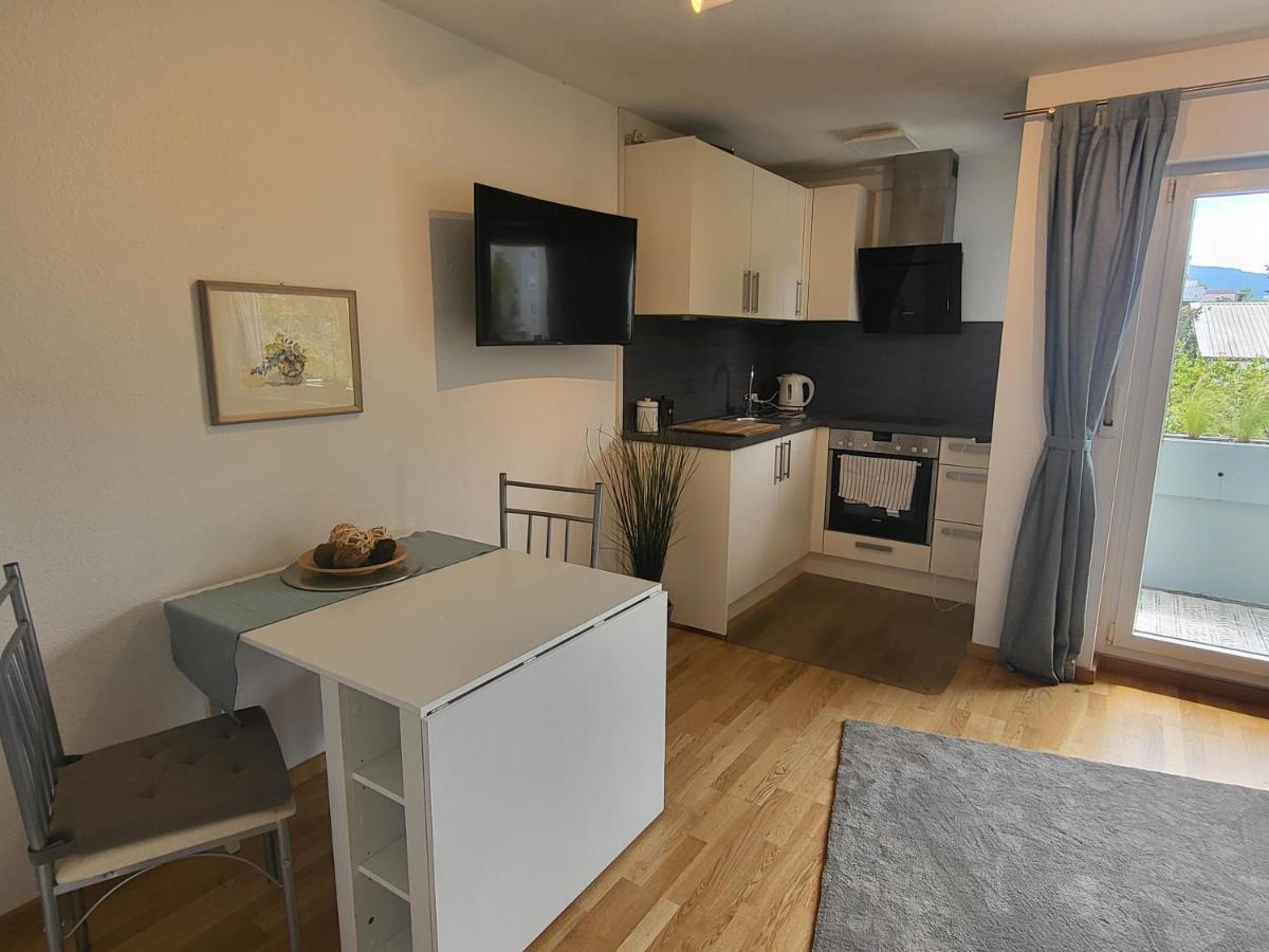 Ferienwohnung Am Seepark Freiburg im Breisgau Buitenkant foto