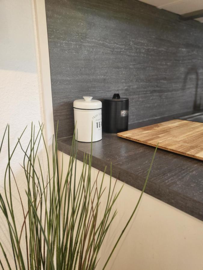 Ferienwohnung Am Seepark Freiburg im Breisgau Buitenkant foto