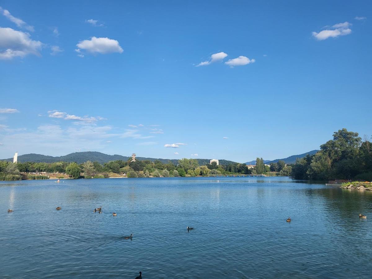 Ferienwohnung Am Seepark Freiburg im Breisgau Buitenkant foto